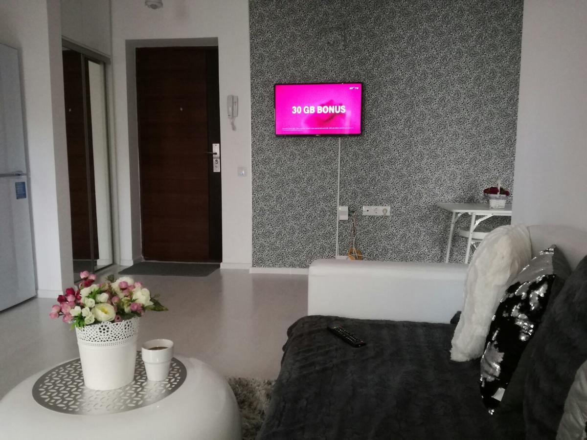 White Luxury Apartment シビウ エクステリア 写真